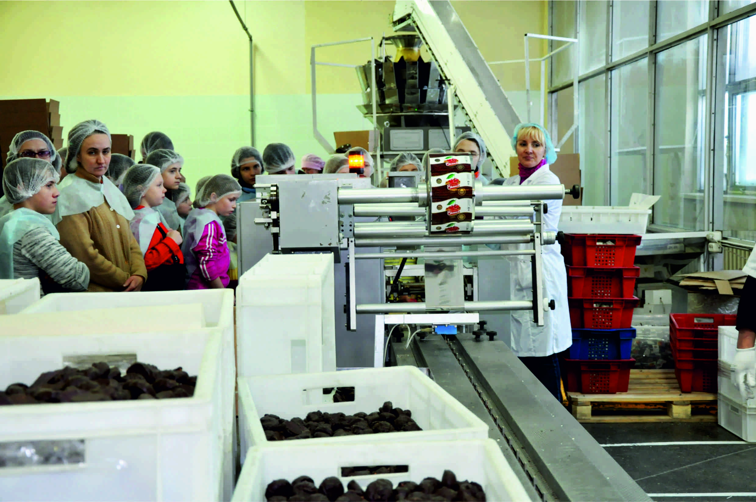Новосибирская шоколадная фабрика